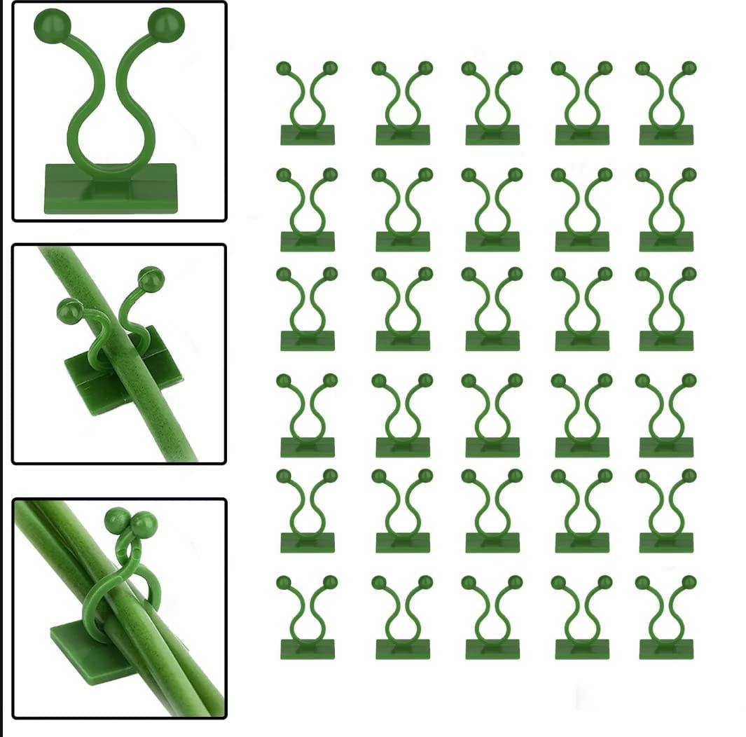30pcs Plant Climbing Wall Clips @ ₹ 149 Self-Adhesive Money Plant Support Clips Vine Plant Climbing Fixing Clip Hook Invisible Plant Clips for Climbers Plant Wall Clips Plant Support Binding Clip